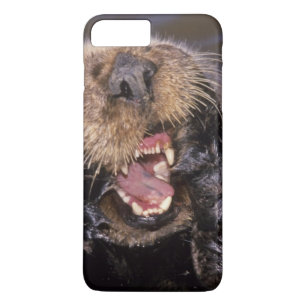 Sea Otters, Enhydra lutris 6 iPhone 8 Plus/7 Plus Case