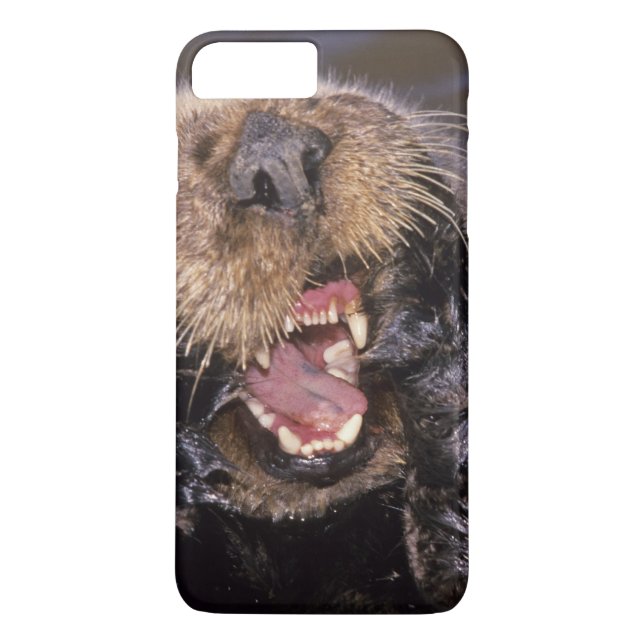 Sea Otters, Enhydra lutris 6 Case-Mate iPhone Case (Back)