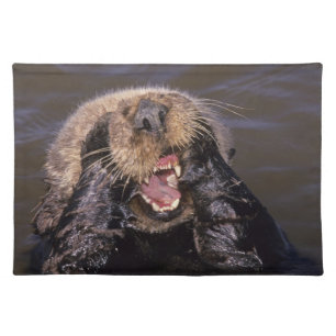 Sea Otters, Enhydra lutris 6 Cloth Placemat