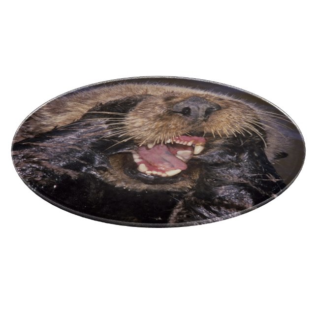 Sea Otters, Enhydra lutris 6 Cutting Board (Corner)