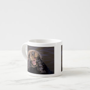 Sea Otters, Enhydra lutris 6 Espresso Cup