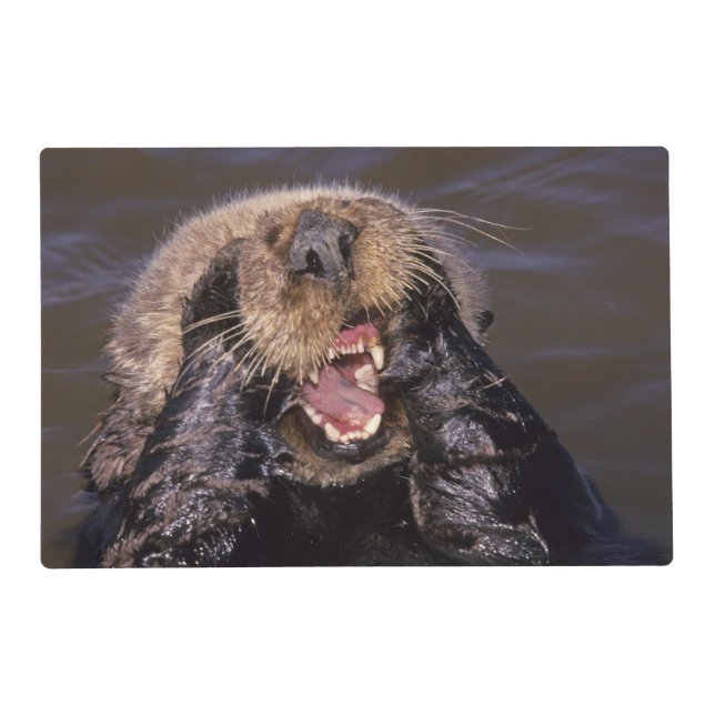 Sea Otters, Enhydra lutris 6 Placemat (Front)