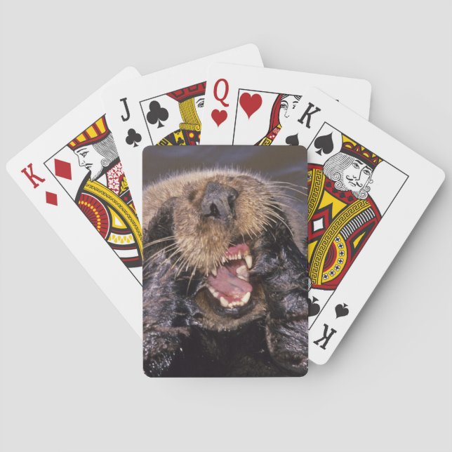 Sea Otters, Enhydra lutris 6 Poker Cards (Back)