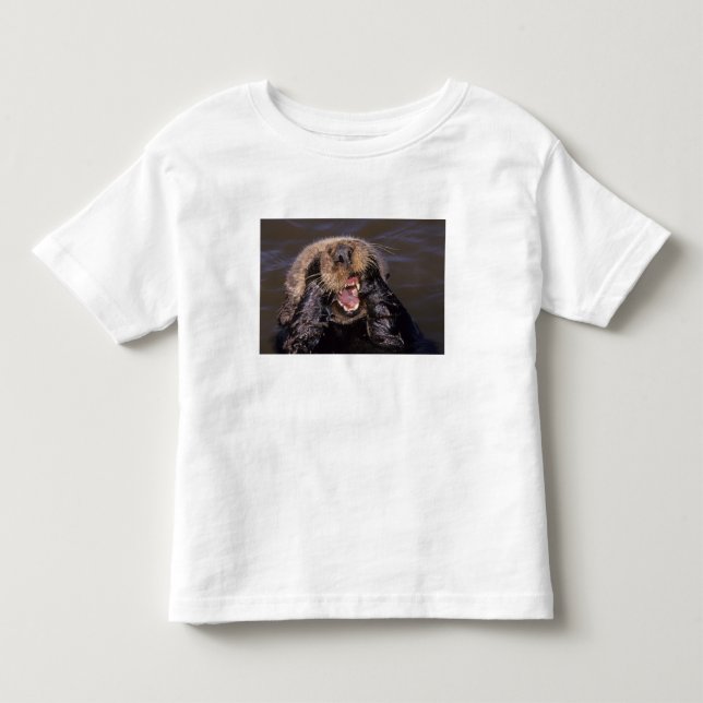 Sea Otters, Enhydra lutris 6 Toddler T-shirt (Front)
