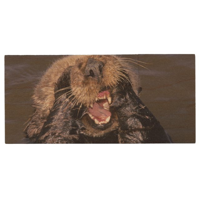 Sea Otters, Enhydra lutris 6 Wood Flash Drive (Front)