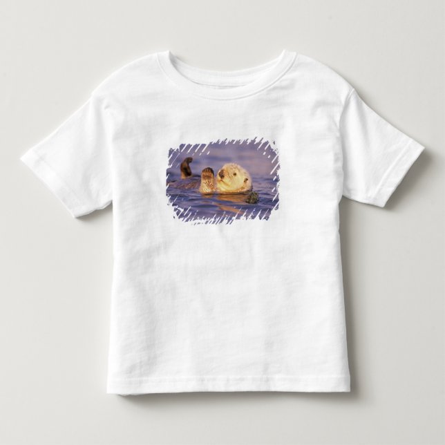 Sea Otters, Enhydra lutris Toddler T-shirt (Front)