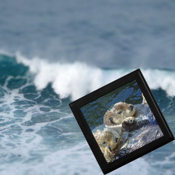 Sea-otters Keepsake Box by newforestpics at Zazzle