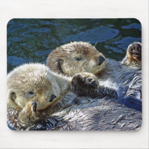 Sea_otters Mouse Pad