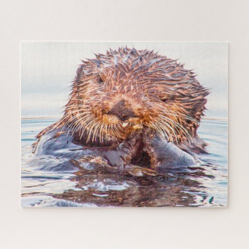 Sea Otters our seas Jigsaw Puzzle