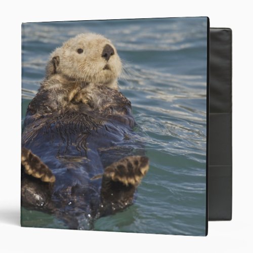 Sea otters play on icebergs at Surprise Inlet 3 Ring Binder