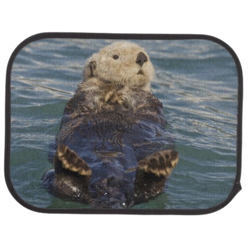 Sea otters play on icebergs at Surprise Inlet Car Floor Mat