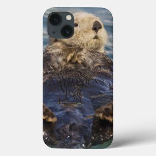 Sea otters play on icebergs at Surprise Inlet iPhone 13 Case