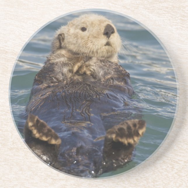 Sea otters play on icebergs at Surprise Inlet Drink Coaster (Front)