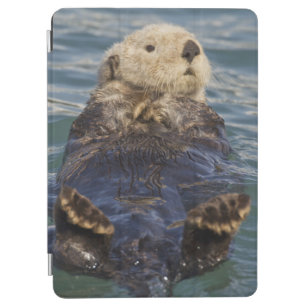 Sea otters play on icebergs at Surprise Inlet iPad Air Cover