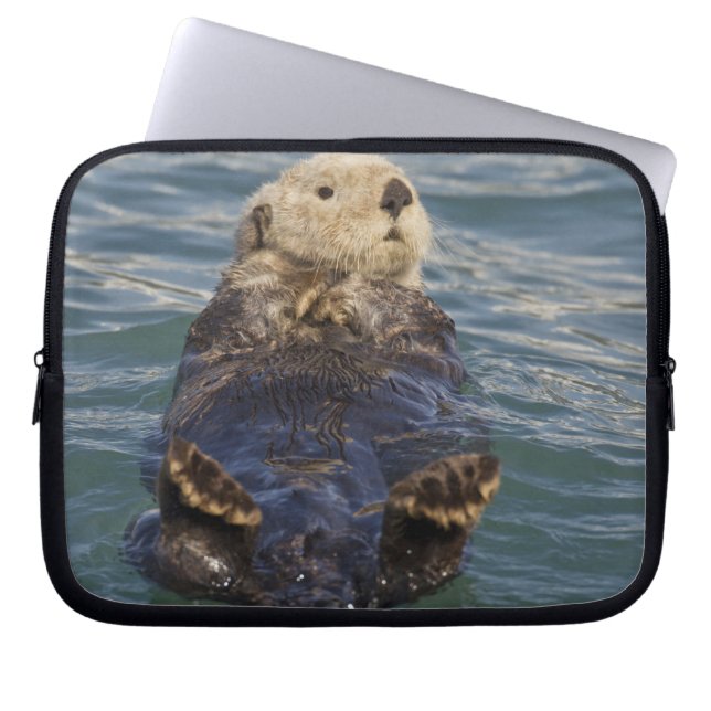 Sea otters play on icebergs at Surprise Inlet Laptop Sleeve (Front)