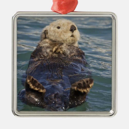 Sea otters play on icebergs at Surprise Inlet Metal Ornament