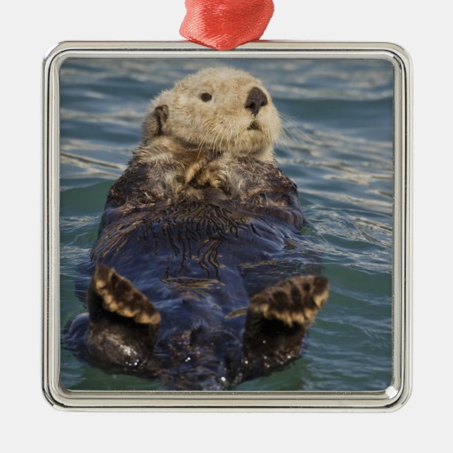 Sea otters play on icebergs at Surprise Inlet Metal Ornament (Front)