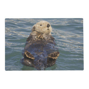 Sea otters play on icebergs at Surprise Inlet Placemat