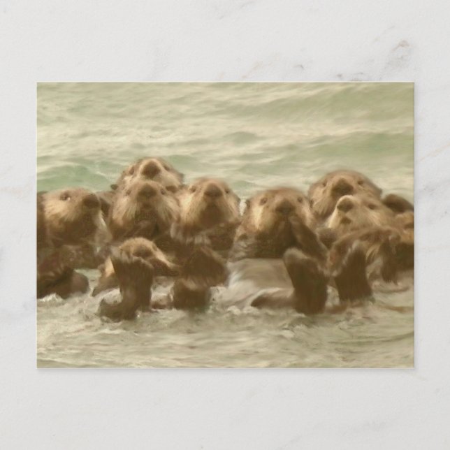 Sea Otters Postcard (Front)
