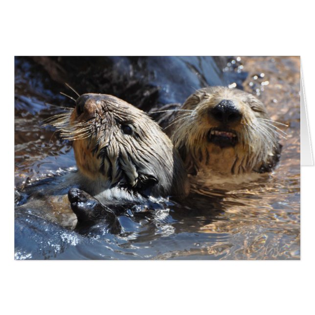 Sea Otters Smiling! Cards (Front Horizontal)