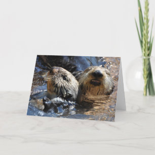 Sea Otters Smiling - Frameable Art Card