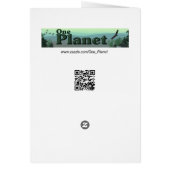 Sea Otters - Stop the Slaughter Cards (Back)