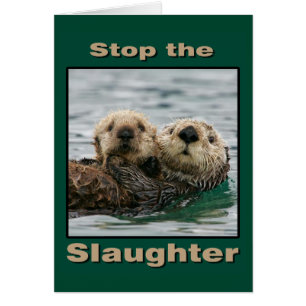 Sea Otters - Stop the Slaughter Cards