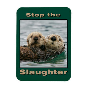 Sea Otters - Stop the Slaughter Magnet