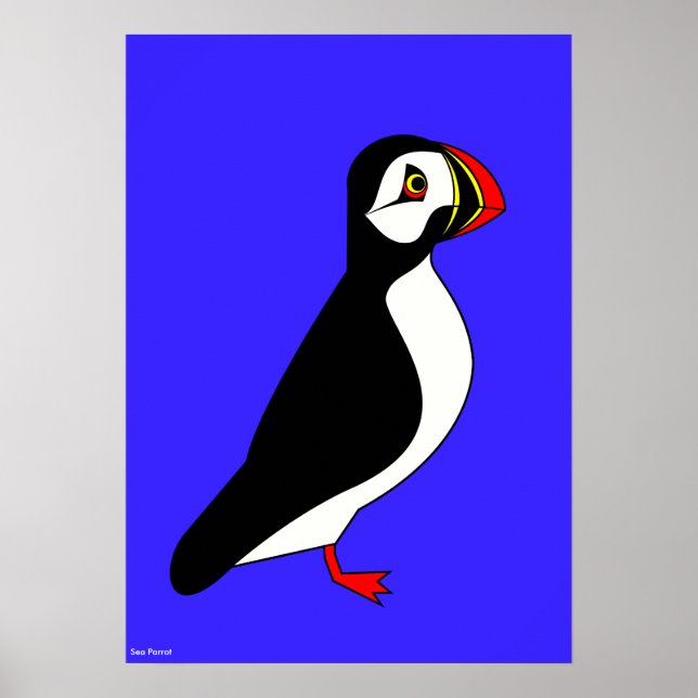 Sea parrot poster (Front)
