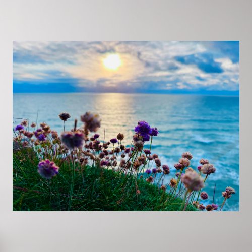 Sea pinks at sunset poster