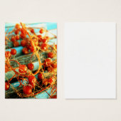 Sea plants (Front & Back)