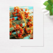 Sea plants (Desk)