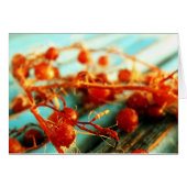 Sea plants (Front Horizontal)