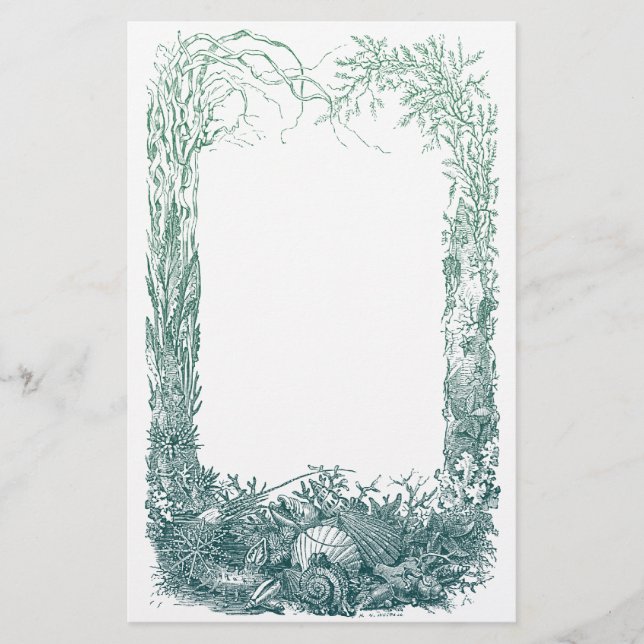 Sea plants and shells border design stationery (Front)