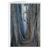 Sea Ranch, CA (Front)