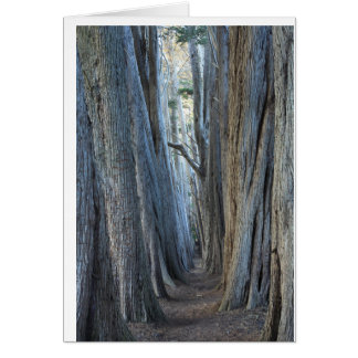 Sea Ranch, CA Cards