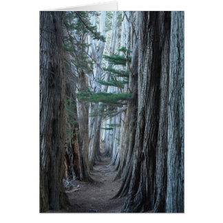 Sea Ranch Cards