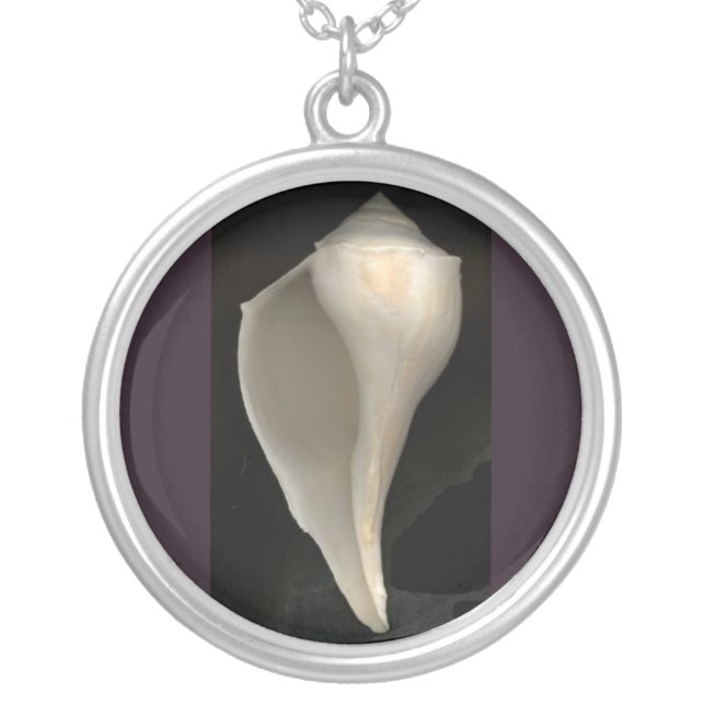 Sea Shell Art Jewelry, Marine Mammal Jewelry (Front)