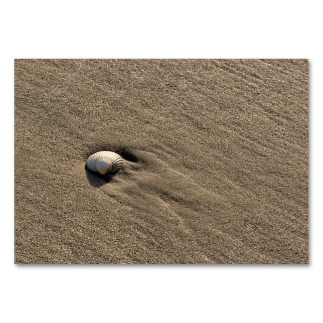 Sea shell at the beach table number (Back)
