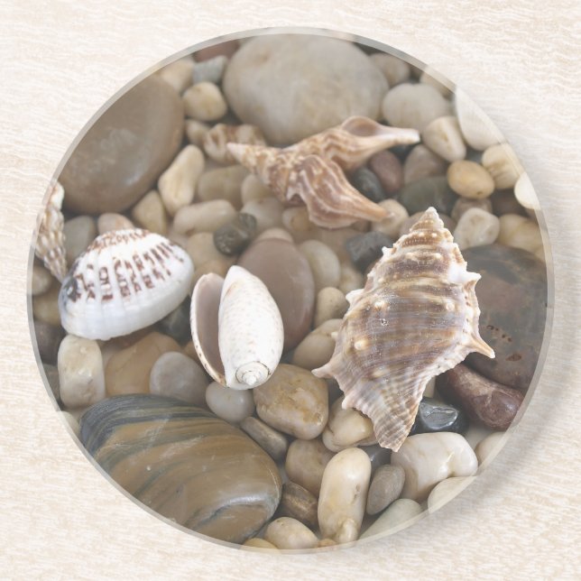 Sea Shell Background Drink Coaster (Front)
