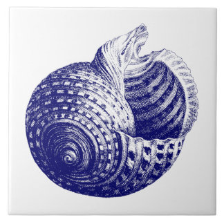 Sea shell Blue & White Ceramic Tile