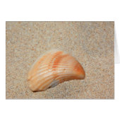 Sea Shell Card (Front Horizontal)