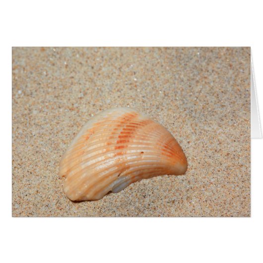 Sea Shell Card (Front Horizontal)