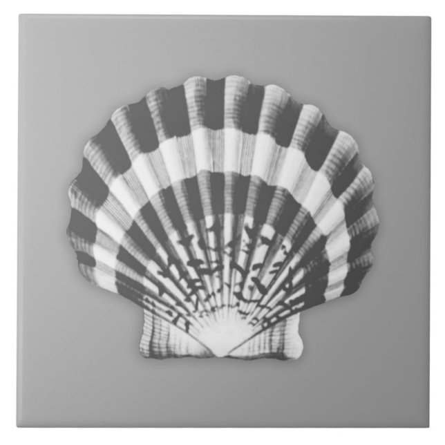 Sea Shell - charcoal grey and white Ceramic Tile (Front)