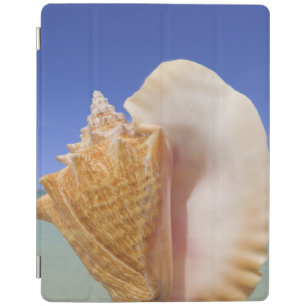 Sea Shell Close Up iPad Smart Cover