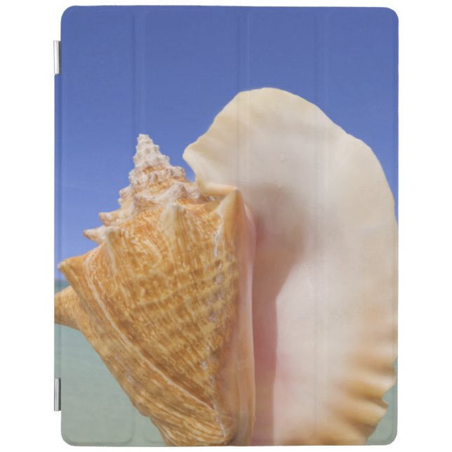 Sea Shell Close Up iPad Smart Cover (Front)