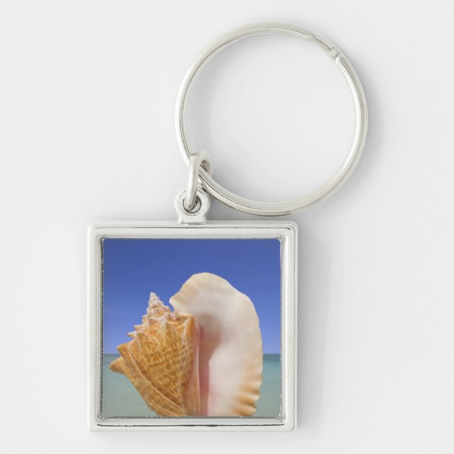 Sea Shell Close Up Keychain (Front)