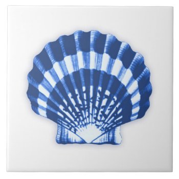 Sea Shell - Cobalt Blue And White Ceramic Tile by Floridity at Zazzle