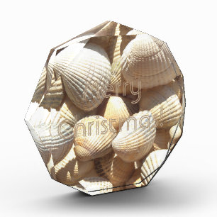 Sea Shell Collection Sunny Merry Christmas Award