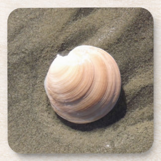 Sea Shell Drink Coaster